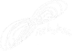 Nebulosa logo